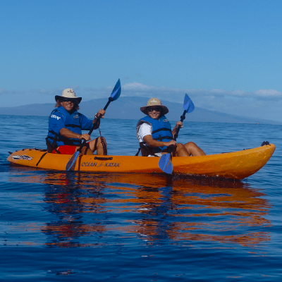 Kayak Rentals